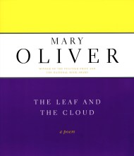 The Leaf And The Cloud