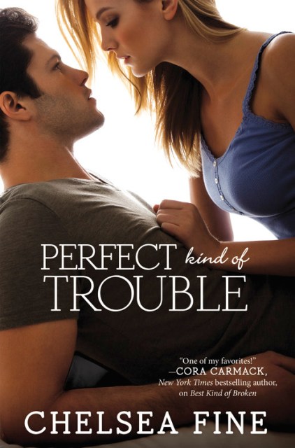 Perfect Kind of Trouble