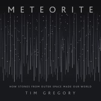 Meteorite