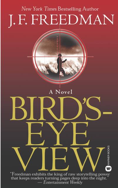Bird’s-Eye View