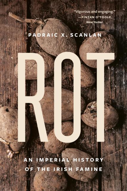 Rot