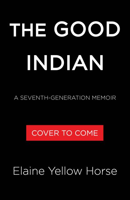 The Good Indian