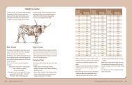 The Backyard Cow