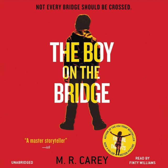 The Boy on the Bridge