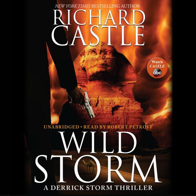 Wild Storm